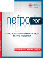 Nefport 43