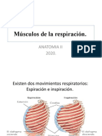 Músculos de La Respiración