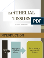 K26 (Histologi A)