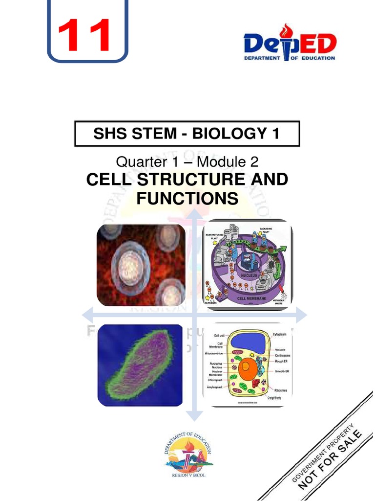 SHS STEM Bio1 Q1 Week 1 Module 2 - Cell Structure And-Functions | PDF ...