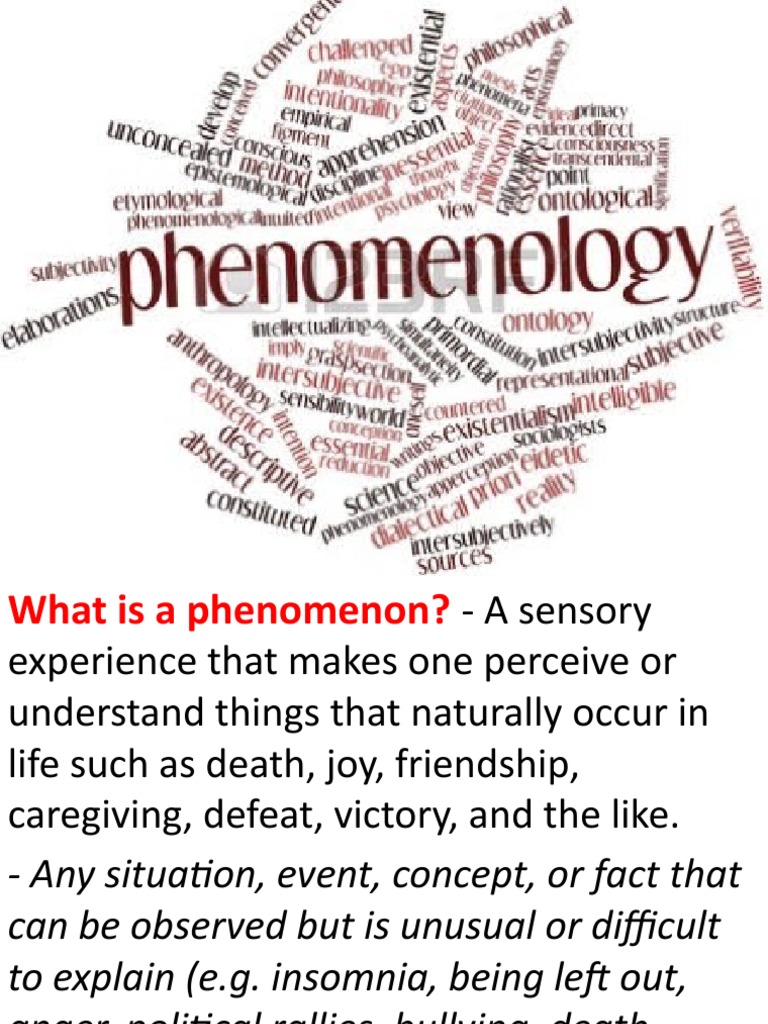 Phenomenology (philosophy) visual data 2