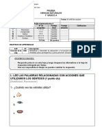 Prueba Ciencias Naturales 1° Básico A Profesora Nicole