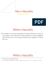 Riñón y Vasculitis pdf