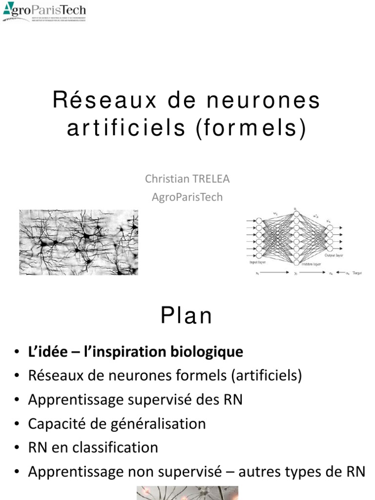 Réseaux de neurones artificiels en 2023 | PDF | Réseau de neurones ...