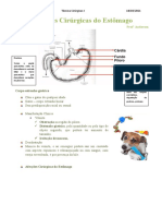 5 AULA Afecções Cirúrgicas Do Estômago