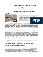 What Is Scanning Electron Microscopy (SEM)