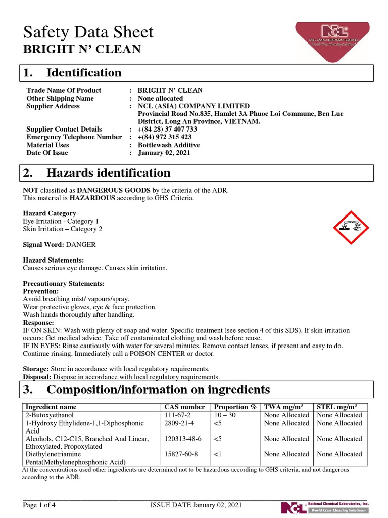 BRIGHT N' CLEAN Safety Data Sheet (SDS) 2021 ENG PDF Personal