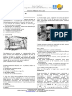 Embalagens modificadas e transporte de gases tóxicos