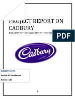 Project Report On Cadbury: Brand Positioning & Repositioning