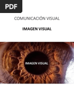 Pensar Con La Imagen | PDF | Imagen | Pinturas