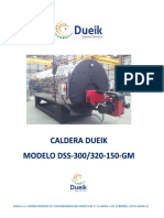 Catálogo Caldera Dueik DSS 300 - 320-150-GM