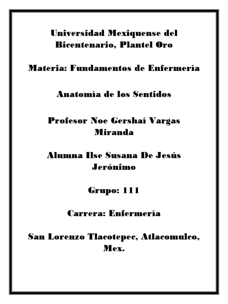 Anatomia De Los Sentidos Pdf Olfato Ojo Humano