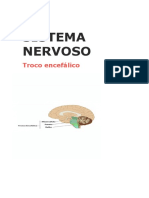 Sistema Nervoso - Uni