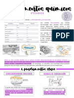 1er Teo FUNDAMENTOS QUÍMICOS