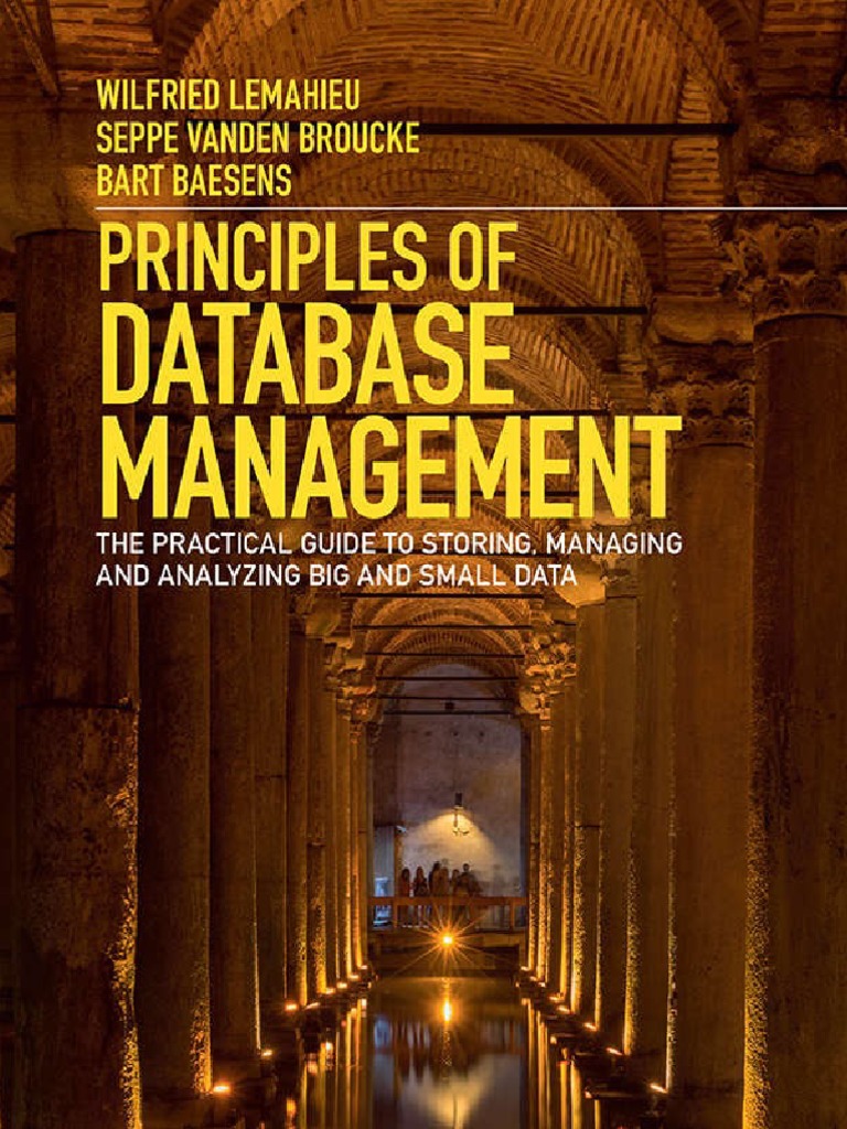 PRINCIPLES OF DATABASE MANAGEMENT LEMAHIEU PDF intelligence overview