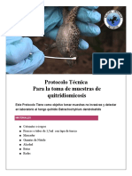 Protocolo Técnica de Quitridio