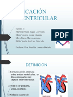 CIV: Comunicación Interventricular