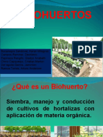 Biohuerto escolar: Guía práctica para su implementación