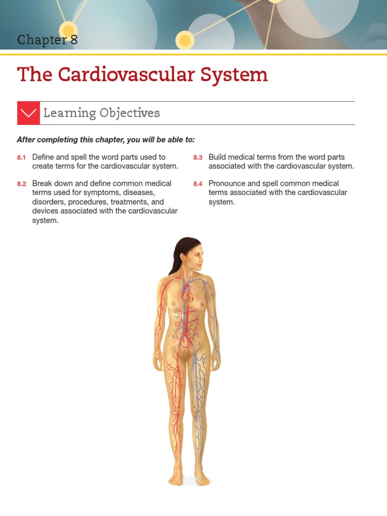 The Cardiovascular System: Learning Objectives | PDF | Atherosclerosis ...