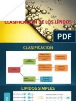 Clasificacion de Lipidos