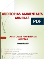 Auditoria Minera 1