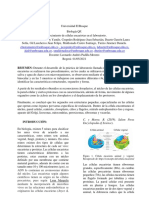 5,0 G3 - Bustamante Cindy, Cespedes Juan, Duarte Sofía, Gil Juan, Maldonado Santiago, Turizo Daniela - Informe de Laboratorio