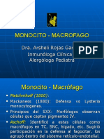 Monocito y macrófago, células clave del sistema inmune