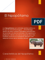 Exposicion El HIPOPOTAMO