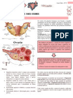 Anatomia Dos Ovários e Tubas Uterinas