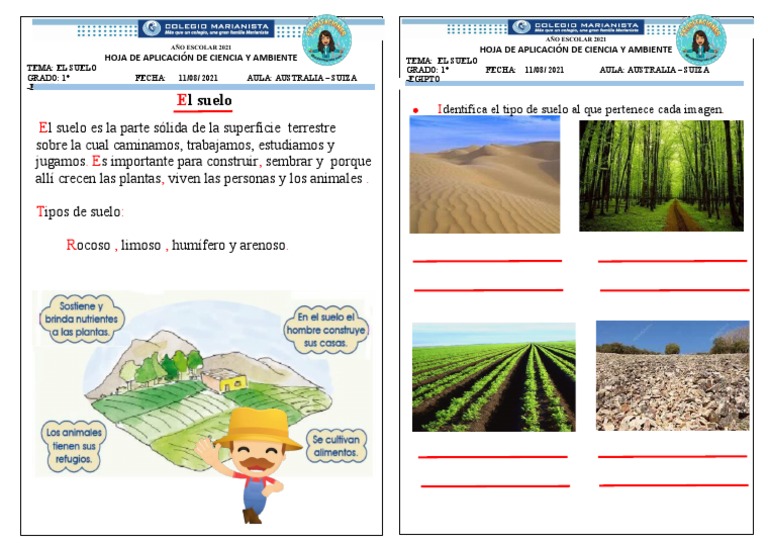 Tipos de Suelo para Primer Grado | PDF