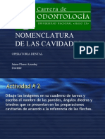 Nomenclatura de Las Cavidades