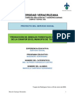 Proyecto Del Servicio Social