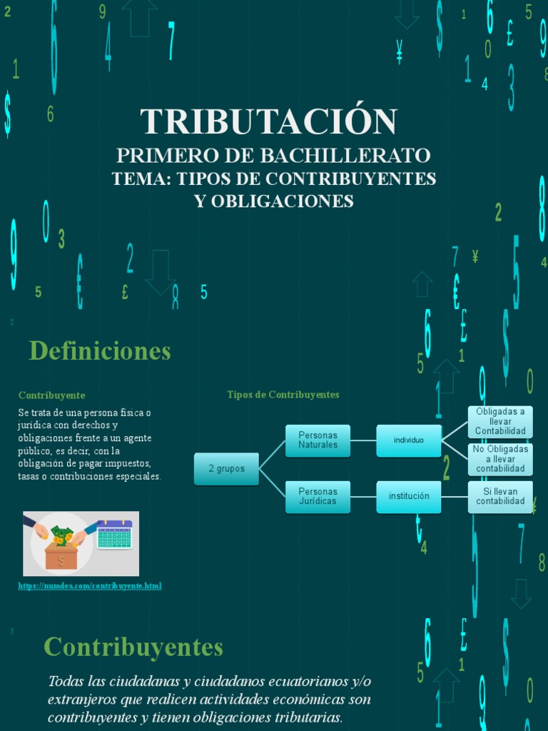 Tipos de Contribuyentes y Obligaciones | PDF | Contabilidad | Impuestos