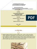 Derecho Procesal Penal - Ii.