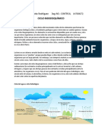 Resumen Ciclo Biogeoquimico