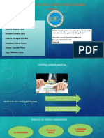 Expo de Auditoria