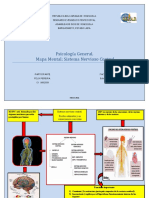 Mapa Conceptual Cerebro