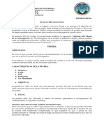 Desarrollo de La Prueba D.P.P. 1