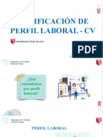 Identificación de Perfil Laboral - CV