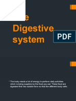 The Digestive System