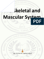 The Skeletal and Mascular System GR 6