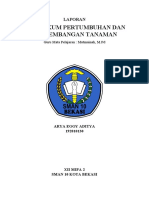 (Arya Eggy, XII MIPA 2) Laporan Pertumbuhan & Perkembangan Tumbuhan