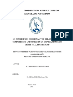 Proyecto de Tesis, La Inteligencia Emocional y Su Relación Con Las Competencias Laborales en La Empresa Mannucci Diésel S.a.c, Trujillo 2019