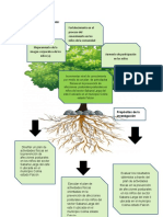 Arbol Del Problema