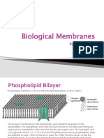 Biological Membranes: by Hajar Saihi