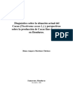 Produccion de Cacao en Honduras