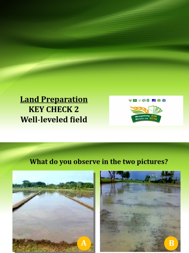 Key Check 2: Well-Leveled Field Guide | PDF | Rice | Soil
