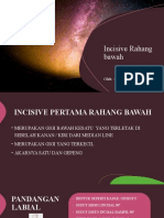 Incisive Rahang Bawah BARU