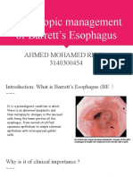 Endoscopic Management of Barrett's Esophagus