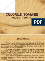 culorile_toamnei_proiect_tematic